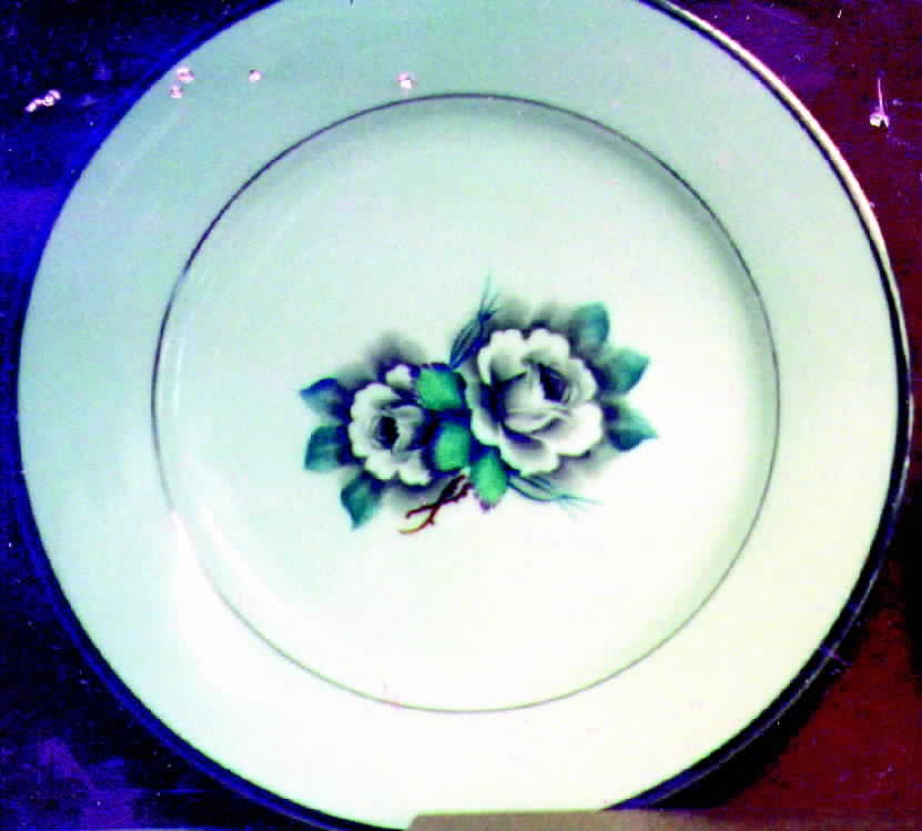 PEA2 Dinner Plate by Pearl China -1