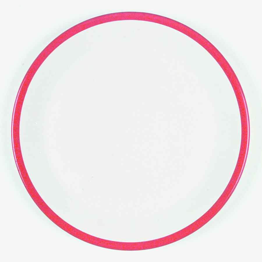 Banded Red Dinner Plate by Pfaltzgraff-1