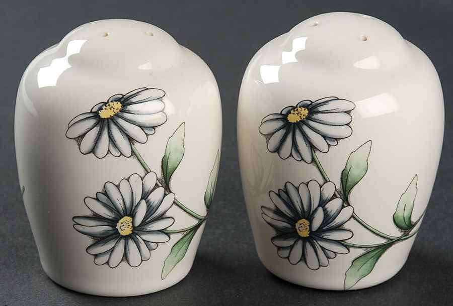 Daisies Salt & Pepper Set by Pfaltzgraff-1