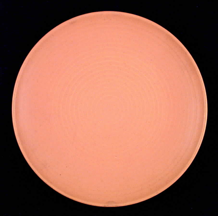 Desert Orange Dinner Plate by Pfaltzgraff-1