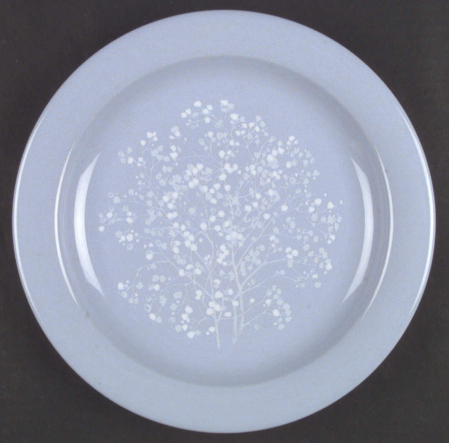 Essence Dinner Plate by Pfaltzgraff-1