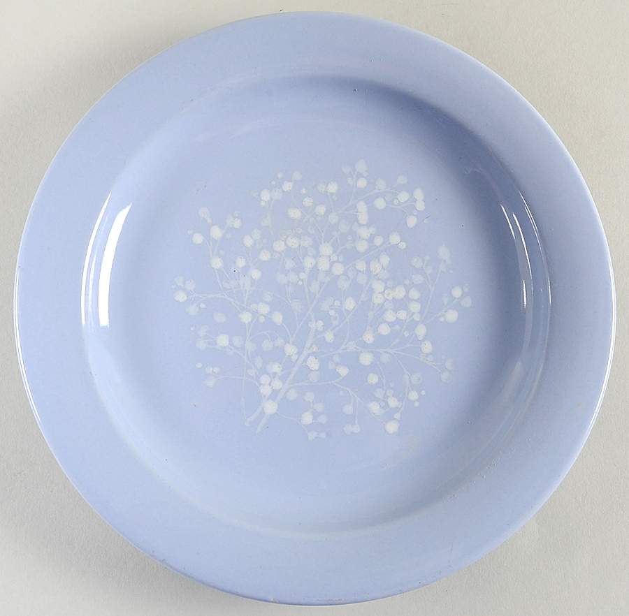 Essence Salad Plate by Pfaltzgraff-1