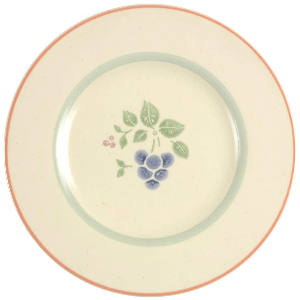 Garden Grove Salad Plate by Pfaltzgraff-1