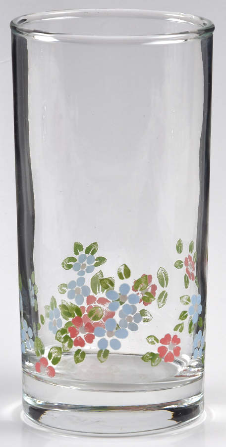 Garden Party (Spectrum Line) Glassware Tall Tumbler by Pfaltzgraff-1