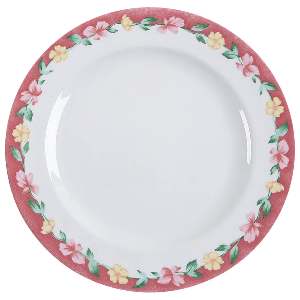 Grandma's Kitchen Dinner Plate by Pfaltzgraff-1
