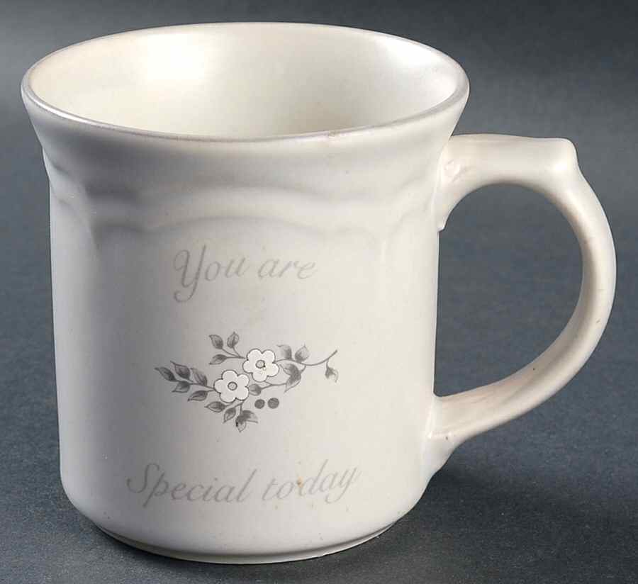 Heirloom You Are Special  Mug by Pfaltzgraff-1