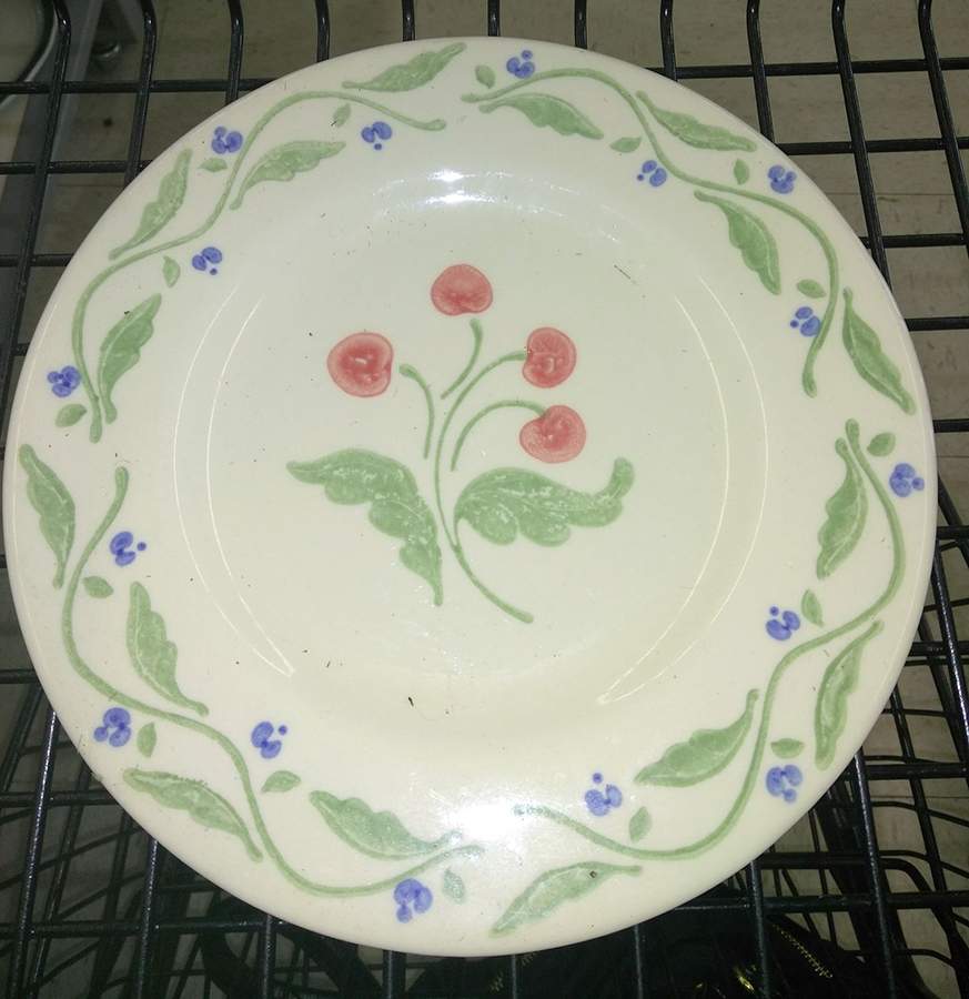 Honeybrooke Large Dinner Plate by Pfaltzgraff-1