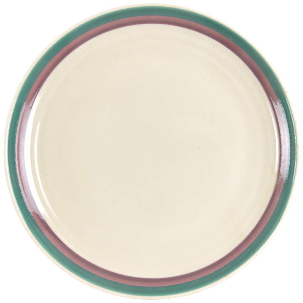 Juniper Dinner Plate by Pfaltzgraff-1