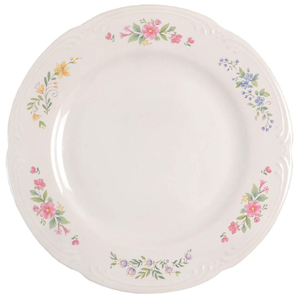 Meadow Lane Dinner Plate by Pfaltzgraff-1