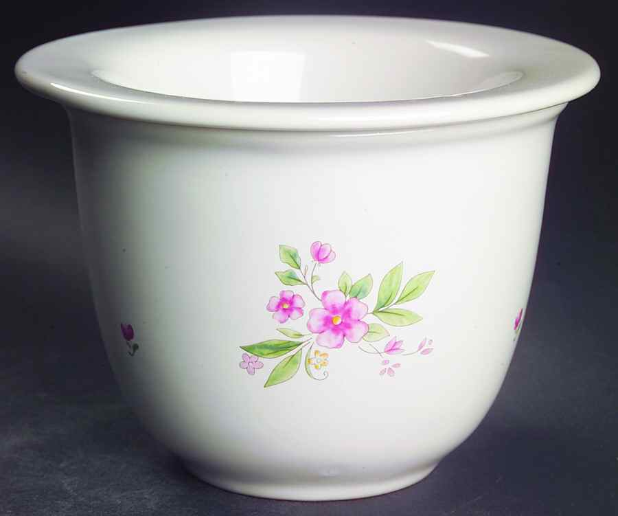 Meadow Lane Dip Cooler Set-(Dip Bowl &Icer by Pfaltzgraff-1