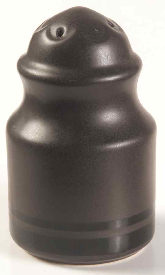 Midnight Sun Salt Shaker by Pfaltzgraff-1