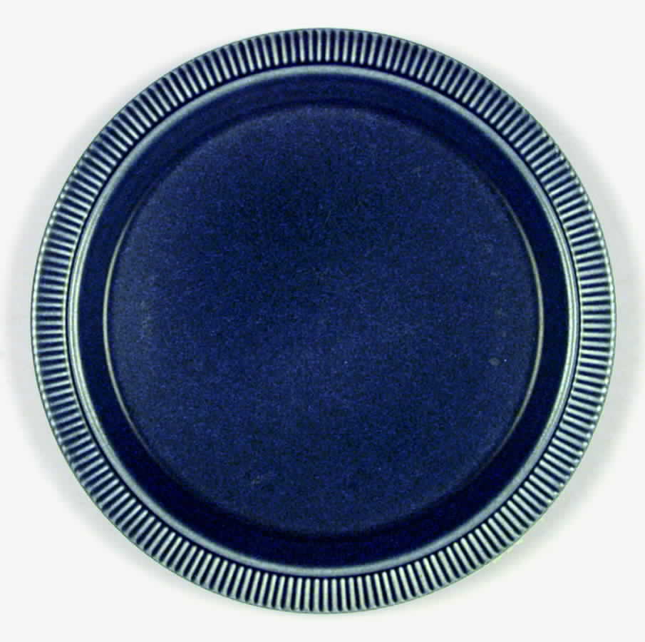 Nordic Blue Dinner Plate by Pfaltzgraff-1