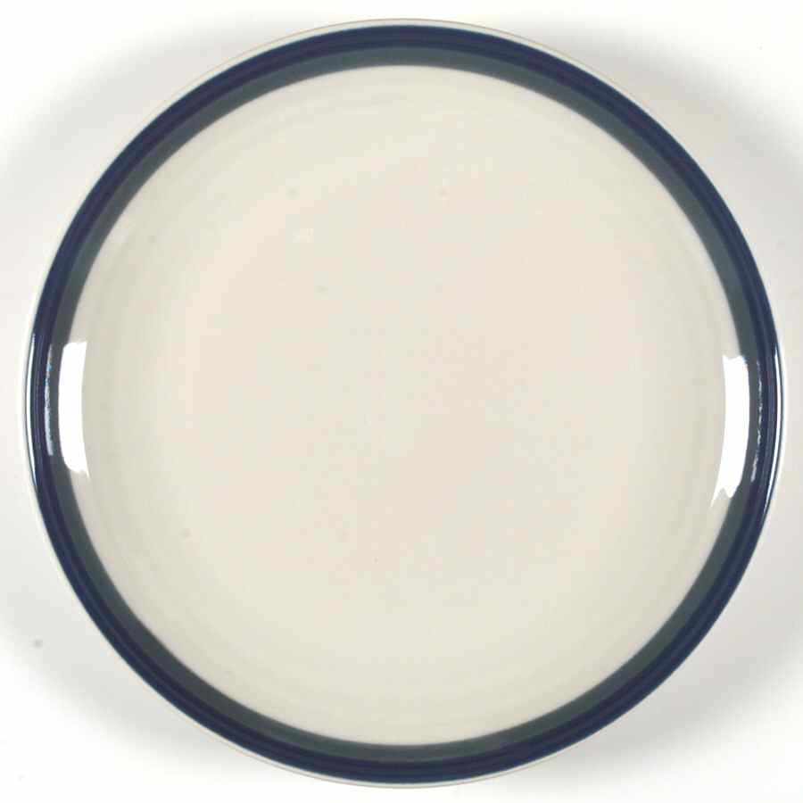 Northwinds Luncheon Plate by Pfaltzgraff-1