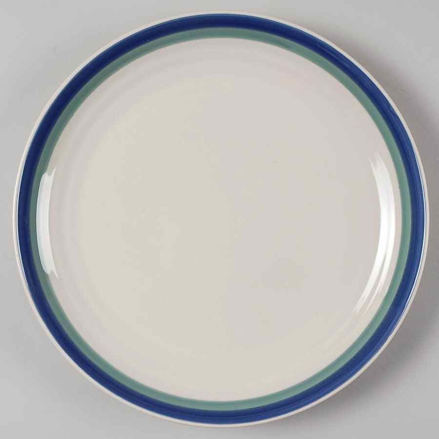 Northwinds Dinner Plate by Pfaltzgraff-1