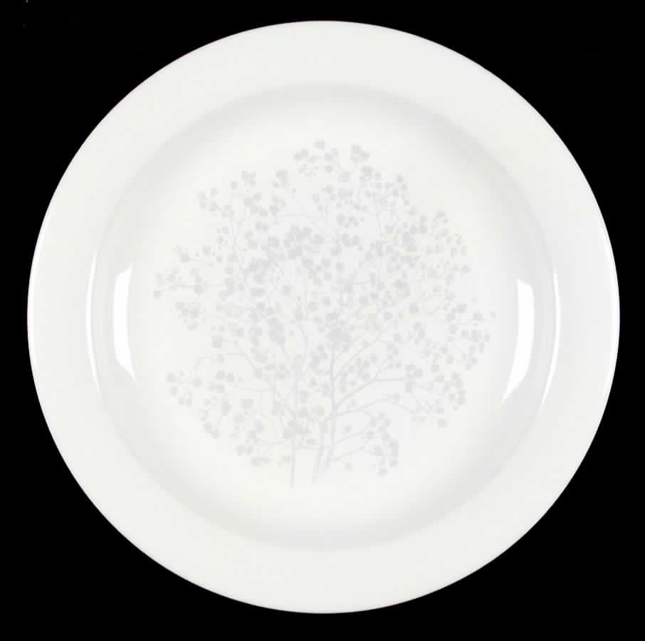 Nuance Dinner Plate by Pfaltzgraff-1