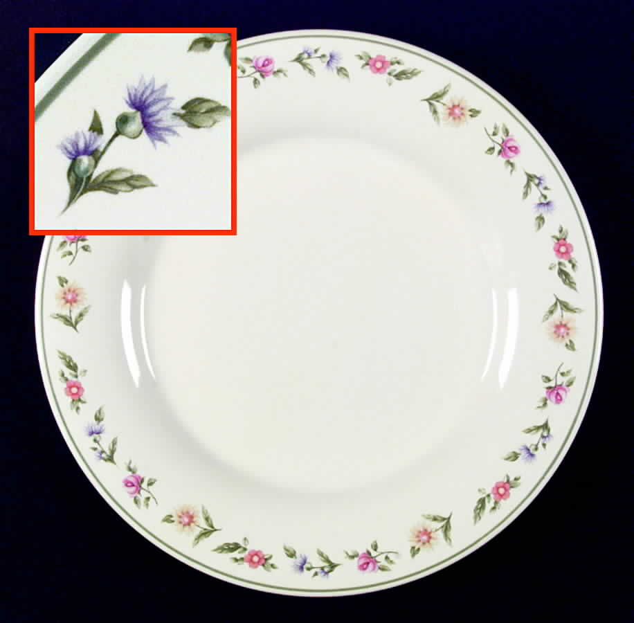 Olivia Dinner Plate by Pfaltzgraff-1