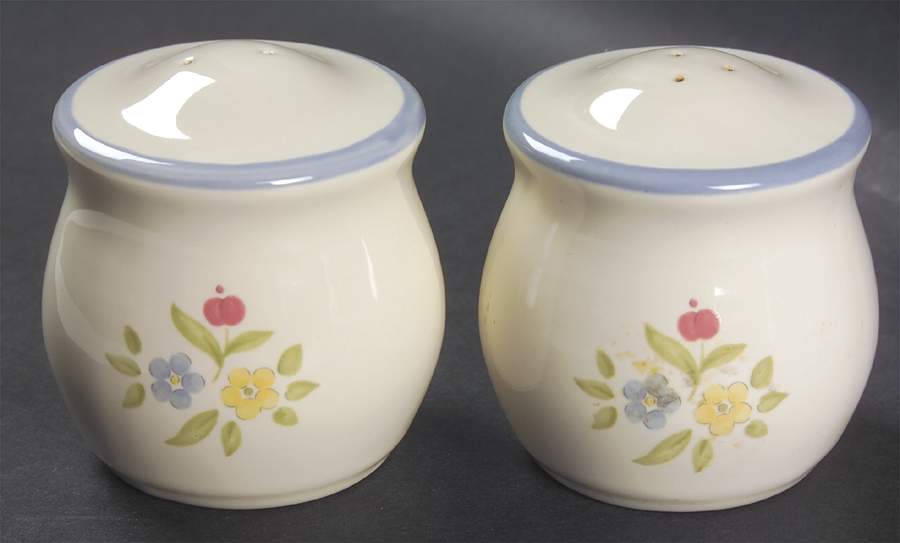Perennials (Medley Collection) Salt & Pepper Set by Pfaltzgraff-1