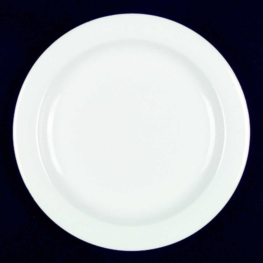 PFA19 Dinner Plate by Pfaltzgraff-1