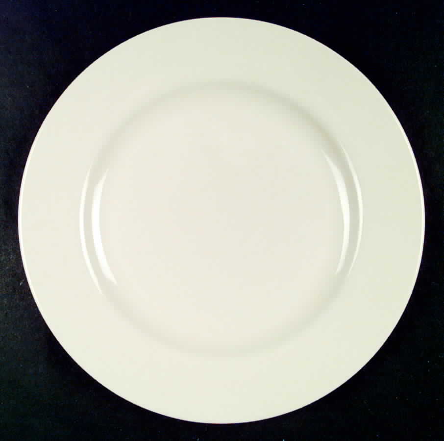 PFA21 Dinner Plate by Pfaltzgraff-1