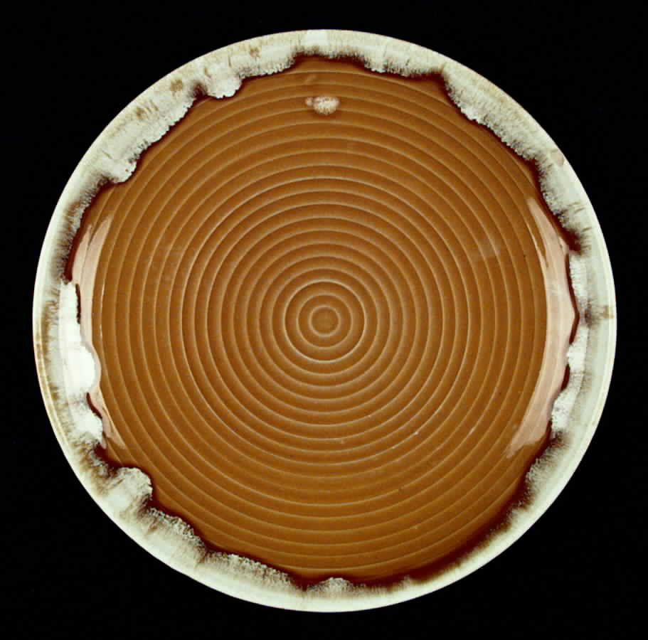 PFA3 Dinner Plate by Pfaltzgraff-1