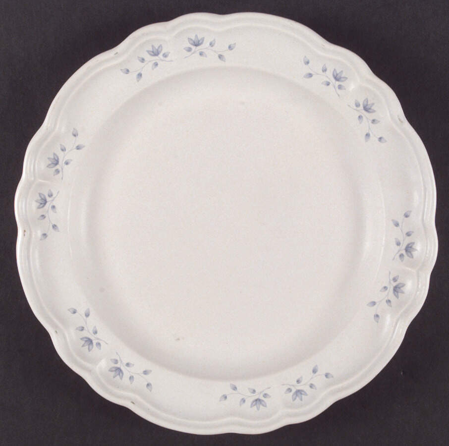 Poetry Matte Dinner Plate by Pfaltzgraff-1