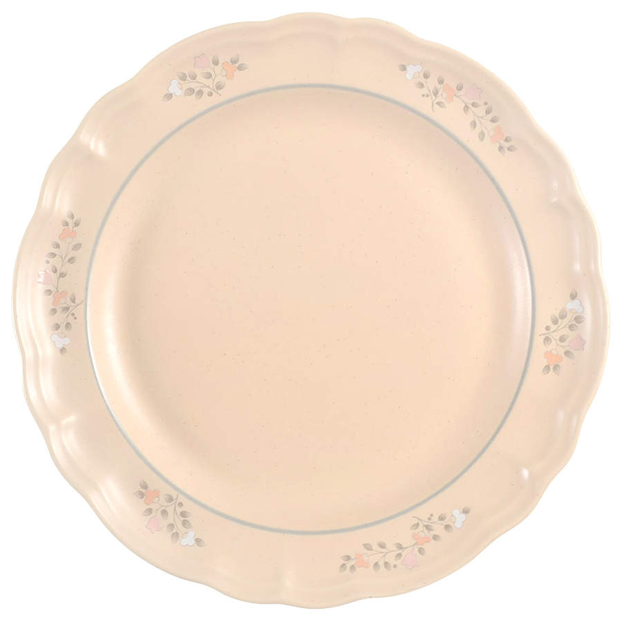 Remembrance Dinner Plate w/No Center Design by Pfaltzgraff-1