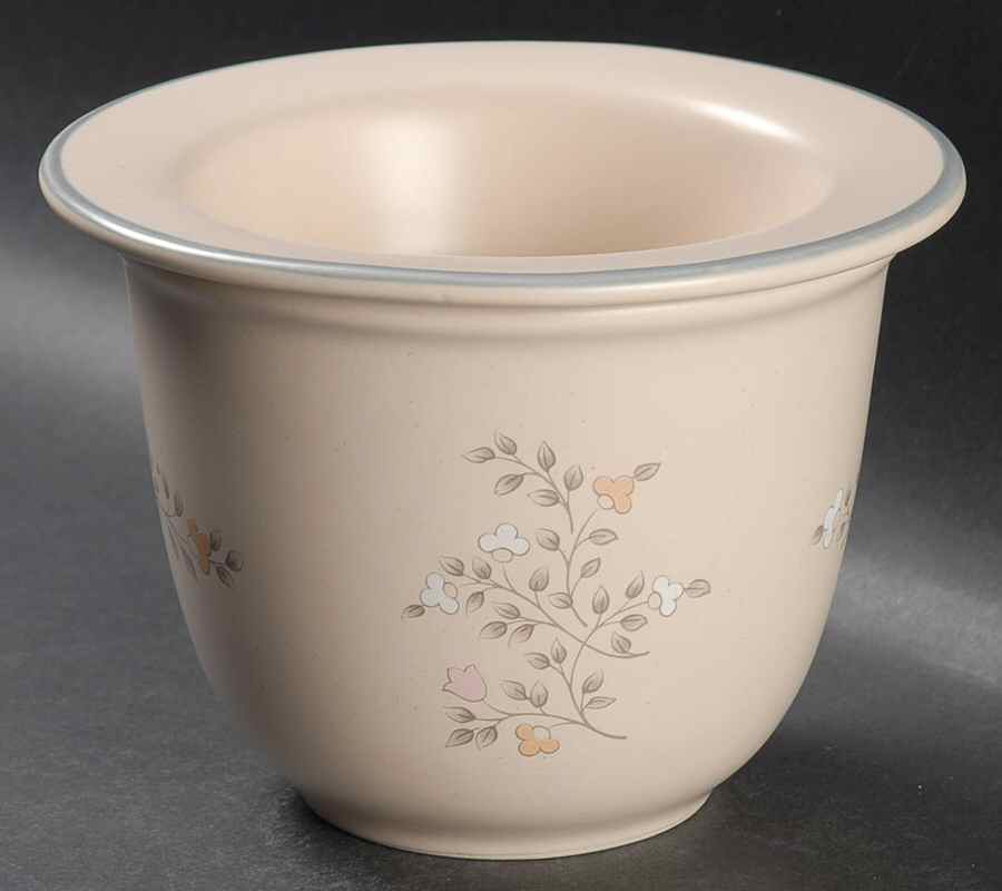 Remembrance Dip Cooler Set-(Dip Bowl &Icer by Pfaltzgraff-1