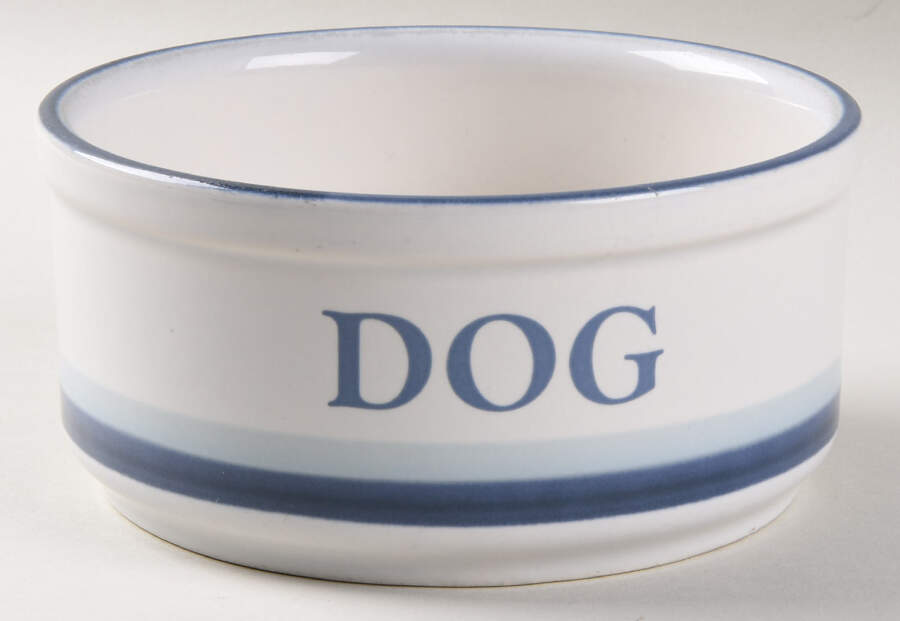 Sky Small Pet Bowl by Pfaltzgraff-1