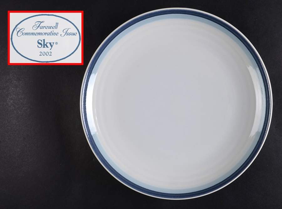 Sky Dinner Plate by Pfaltzgraff-1