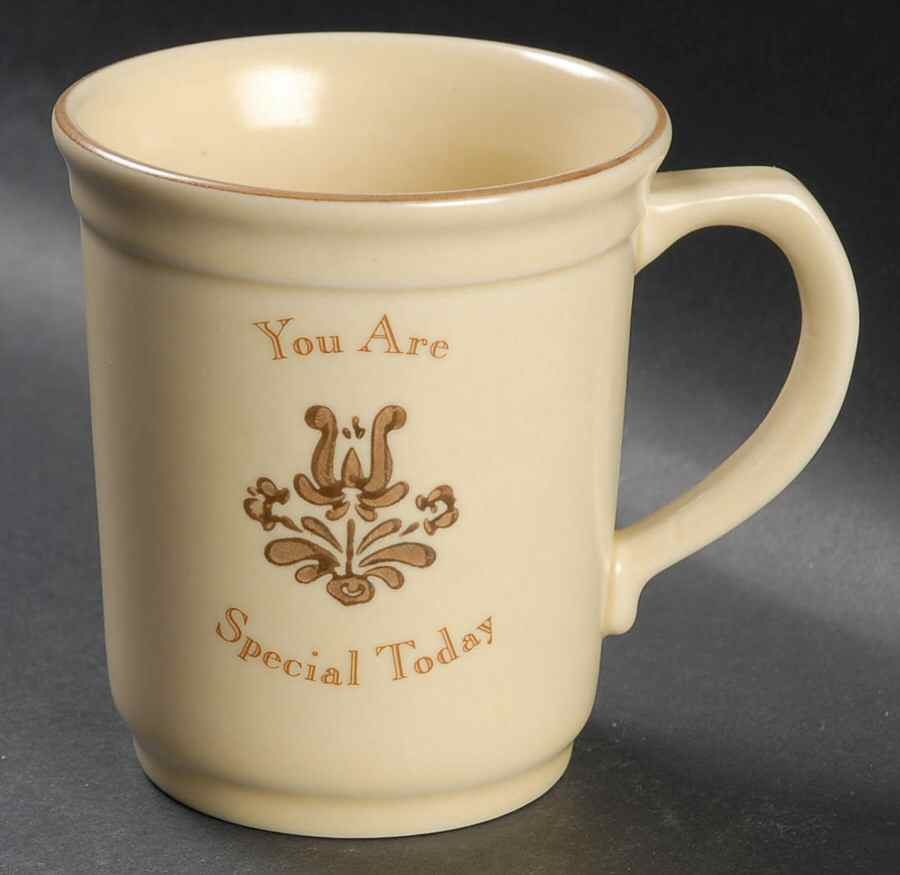 Village (Made in USA) You Are Special  Mug by Pfaltzgraff-1