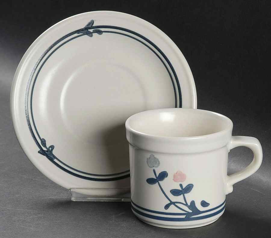 Windsong Flat Cup & Saucer Set by Pfaltzgraff-1