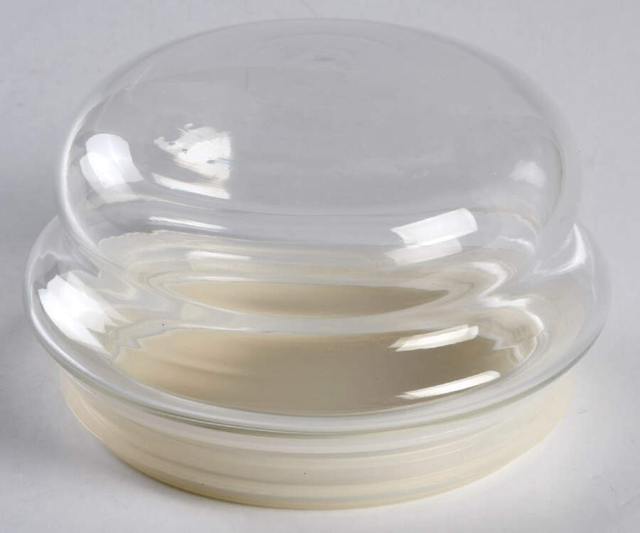 Winterberry Lid for Glassware Candy Jar by Pfaltzgraff-1