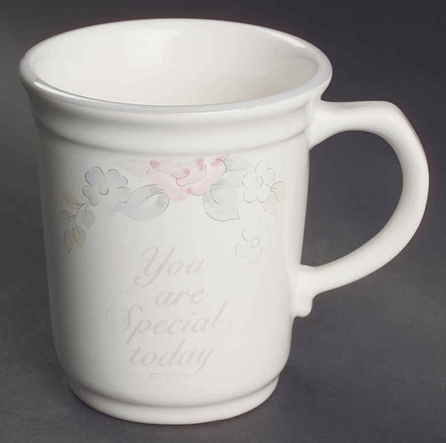 Wyndham You Are Special  Mug by Pfaltzgraff-1