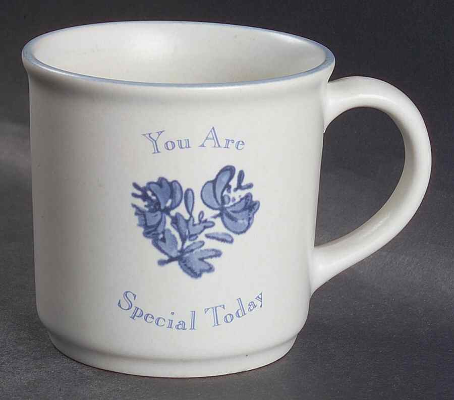 Yorktowne You Are Special  Mug by Pfaltzgraff-1