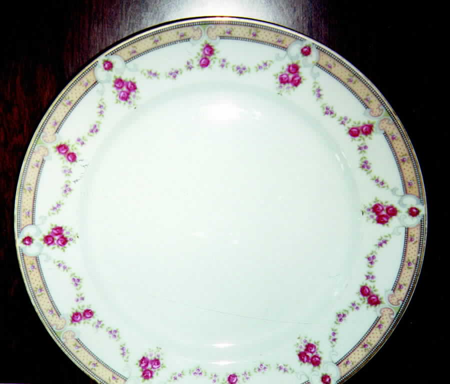Manon Dinner Plate by Pfeiffer & Lowenstein-1