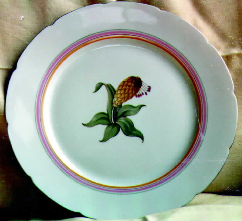PFE2 Dinner Plate by Pfeiffer & Lowenstein-1