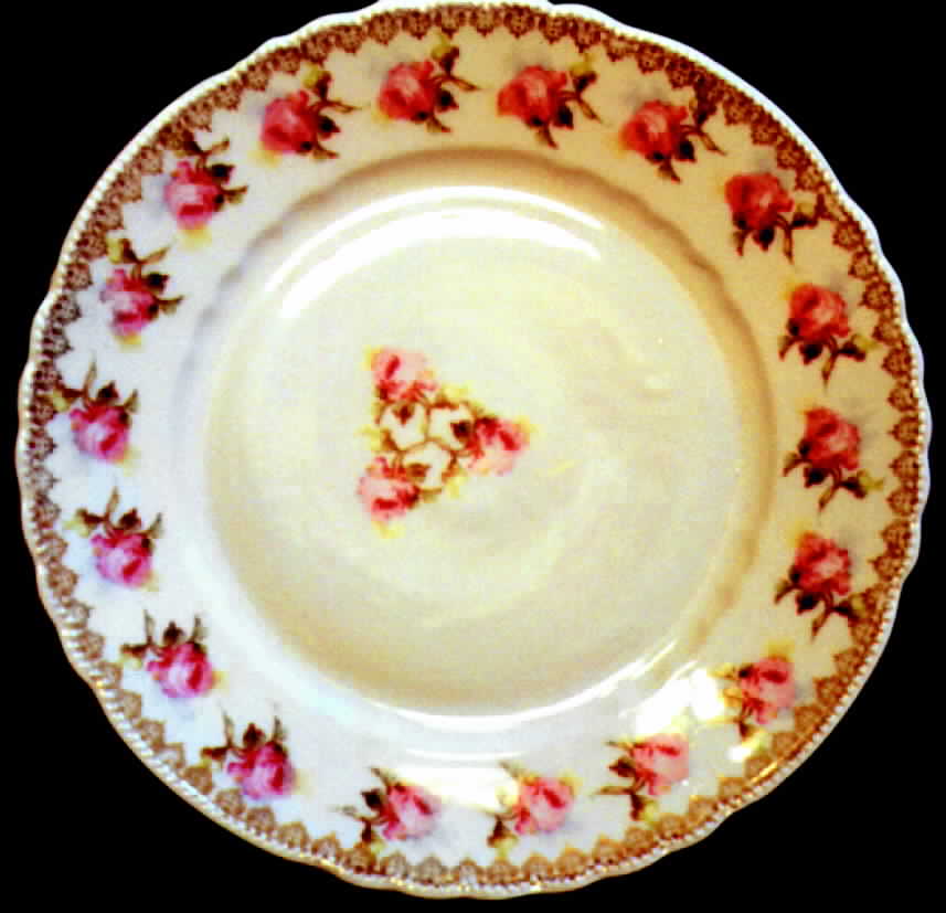 PFE3 Dinner Plate by Pfeiffer & Lowenstein-1