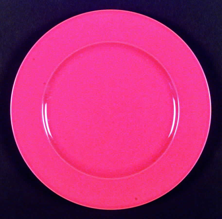 9112 Dinner Plate by Pagnossin-1