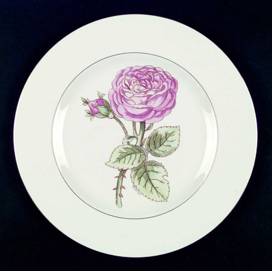 Botany Dinner Plate by Pickard-1