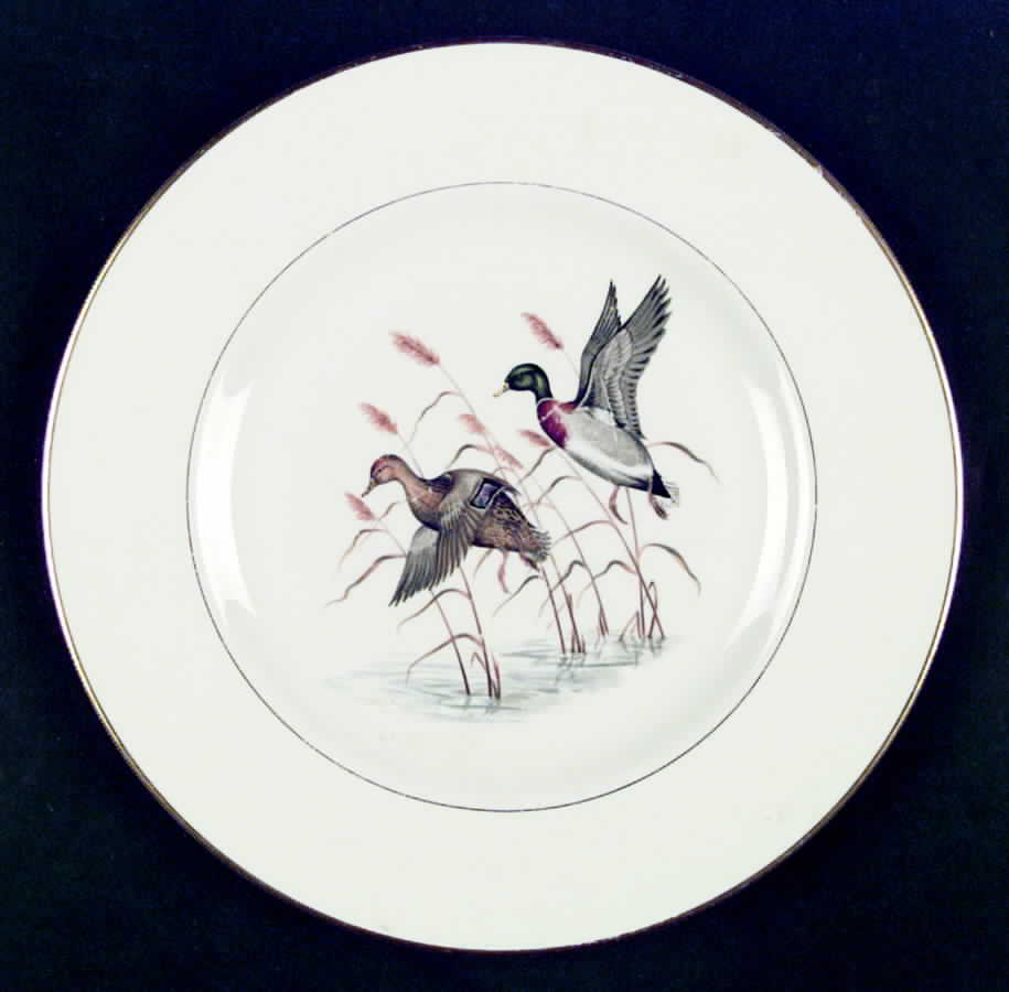 PIC4 Dinner Plate by Pickard-1