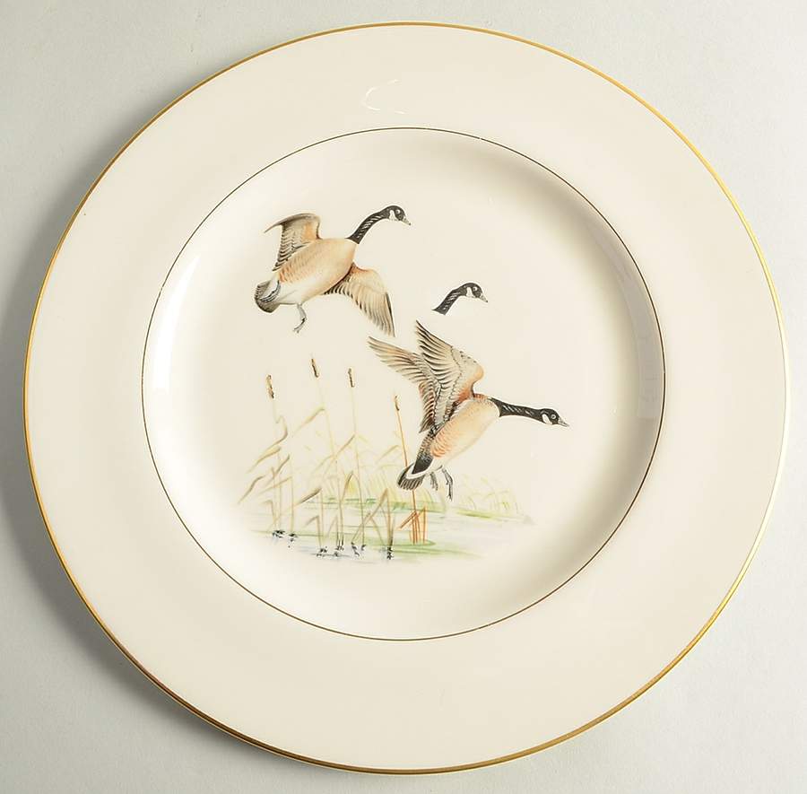 PIC4 Dinner Plate by Pickard-1