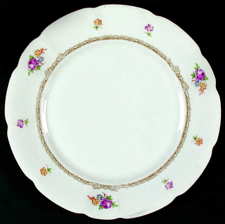 PIR162 Dinner Plate by Pirkenhammer-1