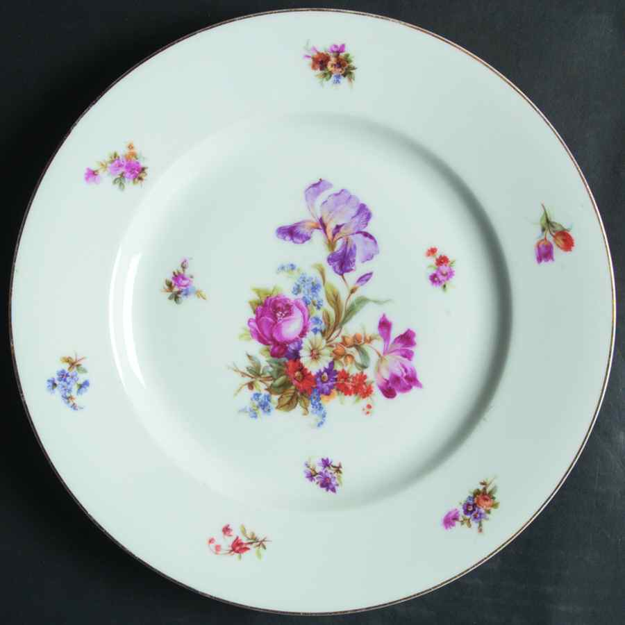 Dresden Dinner Plate by Pirkenhammer-1