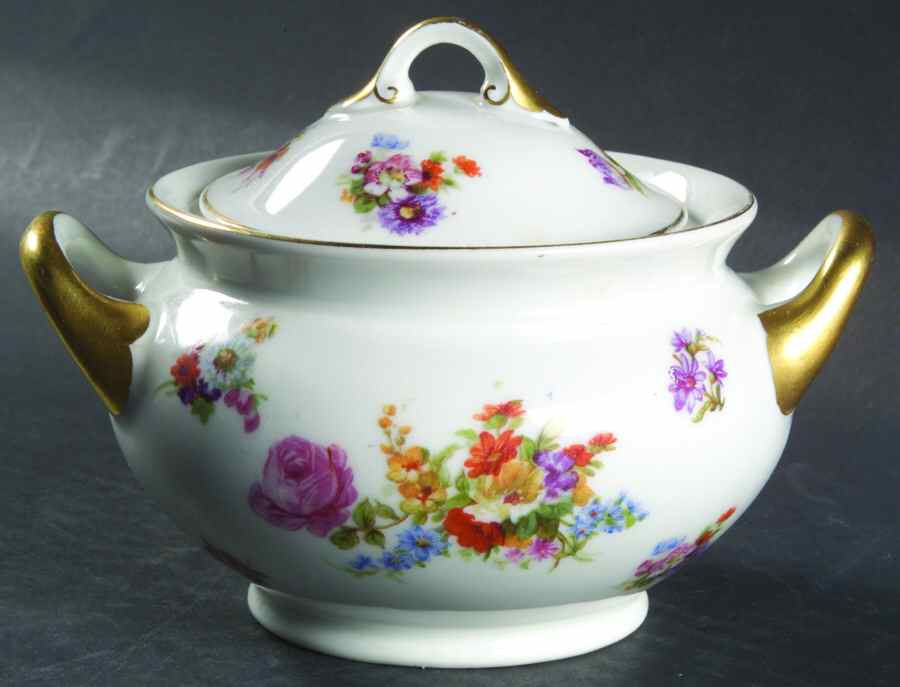 Dresden Sugar Bowl & Lid by Pirkenhammer-1