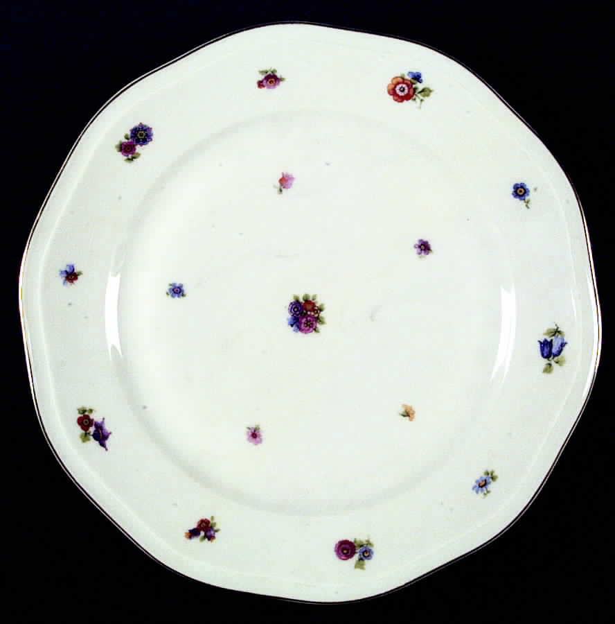 PIR10 Dinner Plate by Pirkenhammer-1