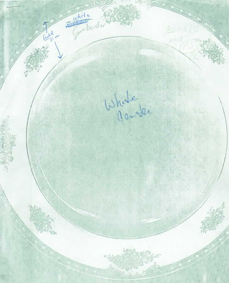 PIR30 (ALL WHITE BACKGROUND) Dinner Plate by Pirkenhammer-1