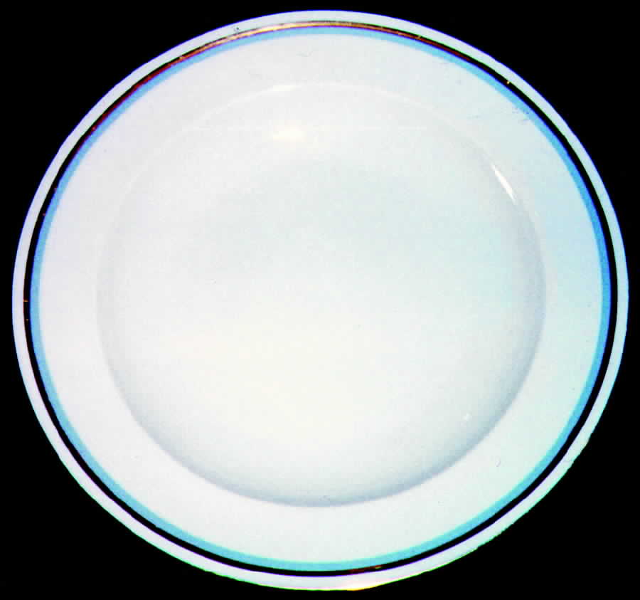 PIR31 Dinner Plate by Pirkenhammer-1