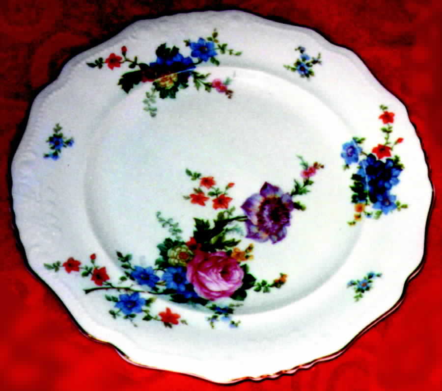PIR33 Dinner Plate by Pirkenhammer-1
