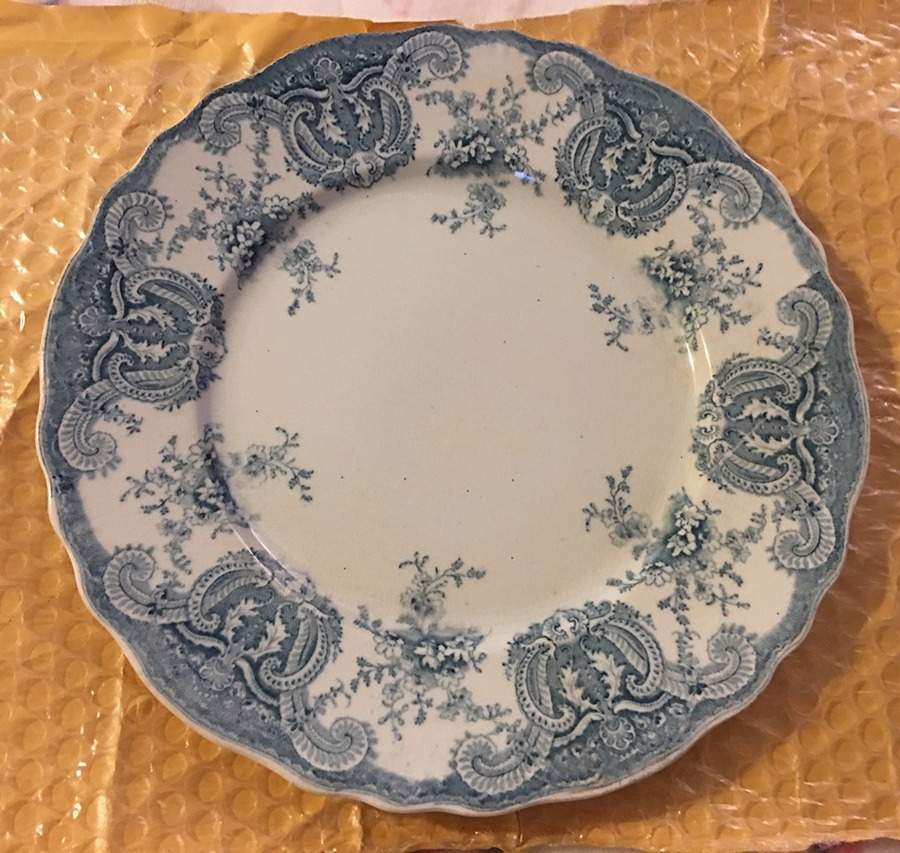 Berwyn Dinner Plate by Pitcairns-1