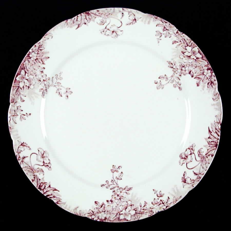 Myra Dinner Plate by Pitcairns-1